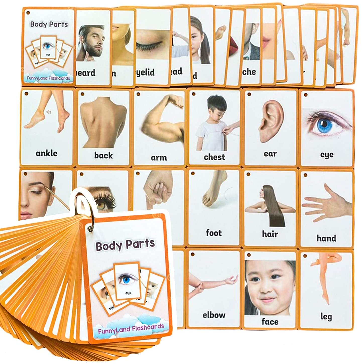HONTOUSIP 34 Pcs Body Parts Flash Cards for Toddler | Special Educational Learning Routine Cards Set | Perfect for Kindergarteners/Teacher/Autism Therapists Tools(4.33x 3.0in)