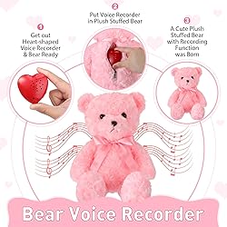 Hungdao Bear Stuffed Animal With Voice Recorder
