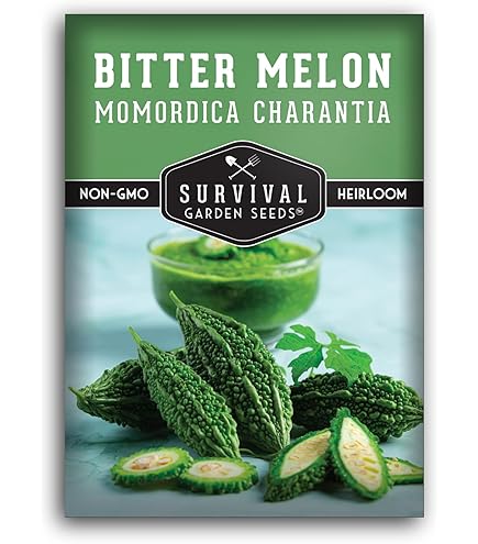 Amazon.com : Bitter Melon Gourd 10 Seeds, Japanese Long (Asian