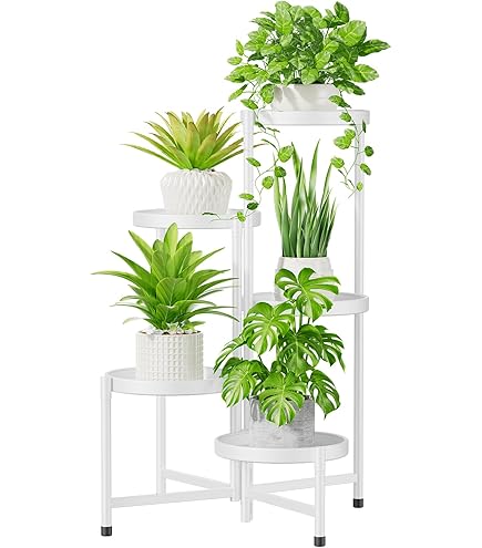 monstera christmas tree 60