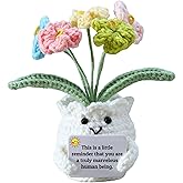 YOOJEE Forget-Me-Not Positive Crochet Flowers Plants Gift Handmade Desk Decor with Card “This is a Little Reminder” Appreciation Inspirational Gift for Coworkers Women Employee Teacher Best Friend Mom
