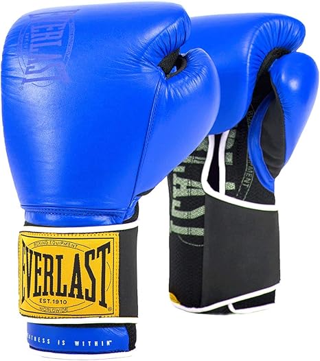 everlast 14oz leather boxing gloves