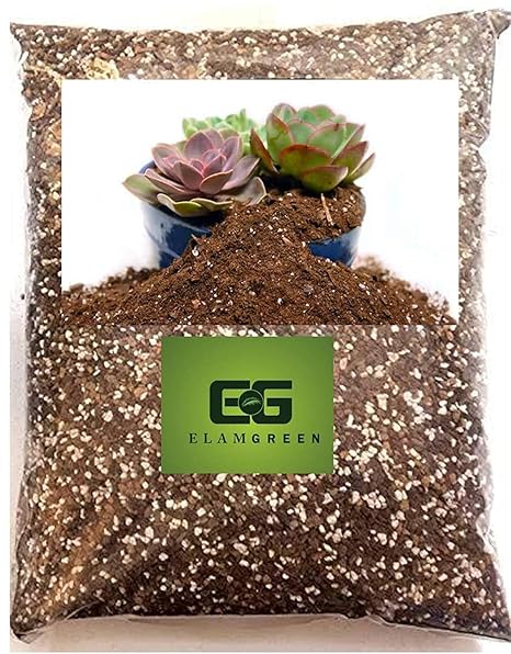 Succulent potting soil 1kg, Soil for cactus, bonsai soil mix, Best for all type of succulents plants, bonsai and cactus
