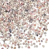 PH PandaHall 1350pcs Tiny Sea Shells No Hole Seashells Natural Conch Seashell Bulk for Resin Crafts Candle Making Crafting Vase Fillers Fish Tank Mirror Decoration Ocean Beach Theme Party 3~7mm