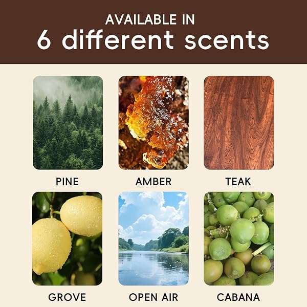 CORROY CAR AIR FRESHENER NATURAL ESSENTIAL OIL SCENT, ODOR ELIMINATOR AND PURIFIER, SUN VISOR CLIP AIR FRESHENER FOR CAR(STARTER/AMBER)