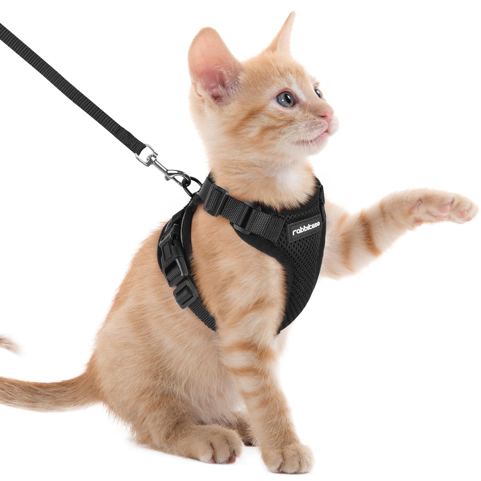 Photo 1 of rabbitgoo Cat Harness and Leash for Walking, Escape Proof Soft Adjustable Vest Harnesses for Cats, Easy Control Breathable Reflective Strips Jacket, Black, XXS
