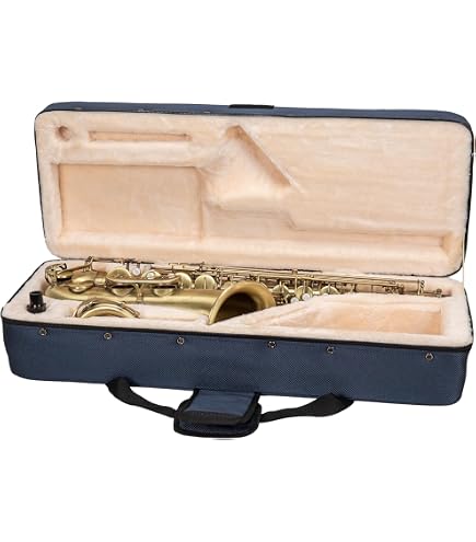 Amazon.com: SKB Euphonium Case : Musical Instruments