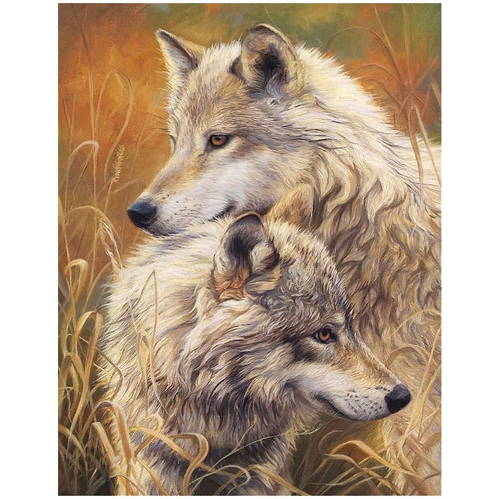 Square Diamond Painting Pictures Full Large Wolves 15x19 inches Crafts for Adults Hobby kits Adult Children Diamond Art Painting by Numbers Rhinestone Embroidery Arts Supplies Beginners 40x50cm