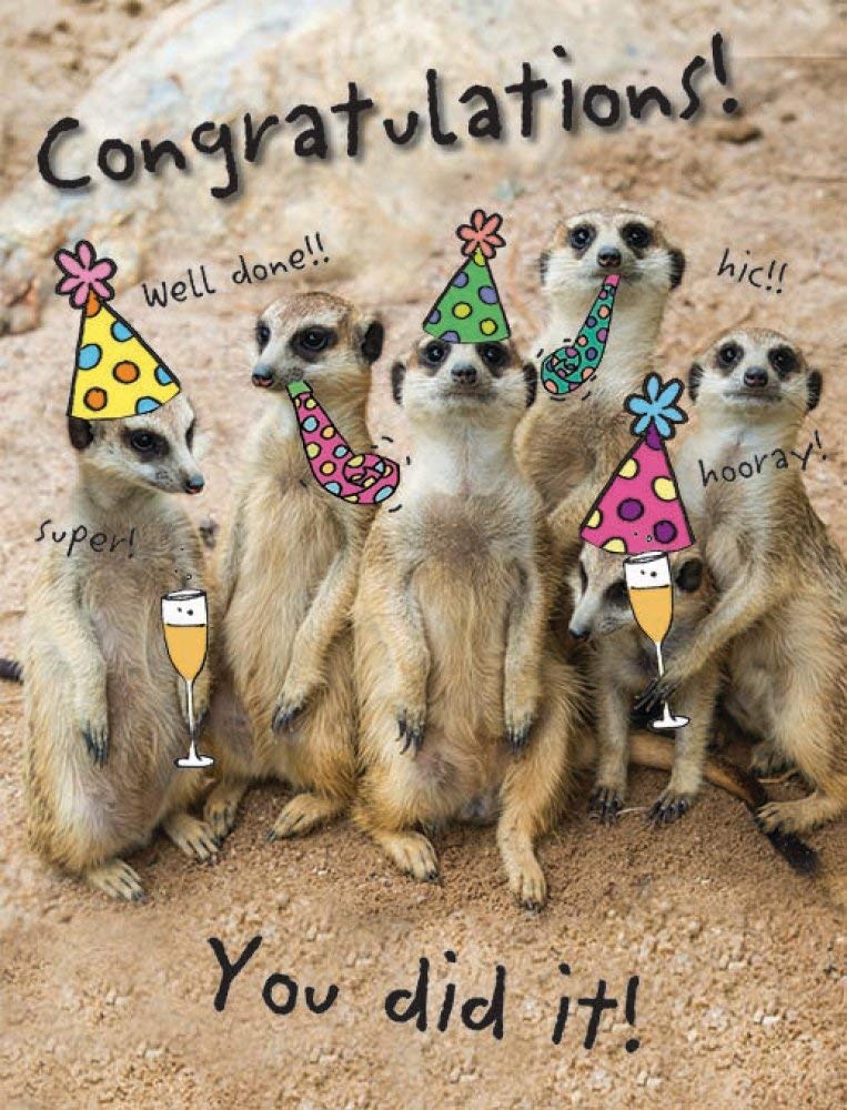 Piccadilly Greetings Humour Occasion Card Congratulations - 8 x 6 inches, beige|brown|yellow|black