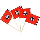 QQSD Tennessee Toothpick Flag Small Mini Cupcake Topper Flags, 100 pcs