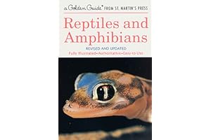 Reptiles and Amphibians: A Fully Illustrated, Authoritative and Easy-to-Use Guide (A Golden Guide from St. Martin's Press)