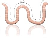WOW! STUFF Superworm Toy Stretchy Orange Gruffalo Childrens Book Character view 6