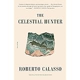 Celestial Hunter