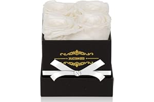 NATROSES White Preserved Roses in a Box That Last Up to 3 Years, Long Lasting Roses Gifts for Her,Valentines Day Gifts, Mothers Day Gifts (White)