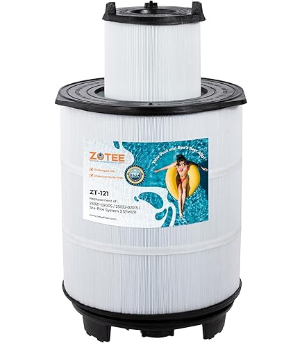 Amazon.com : Pool Filter Cartridge Replacement for 170147 S8M150