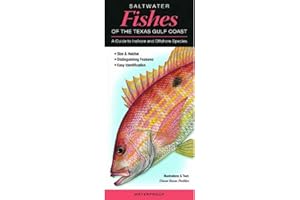 Saltwater Fishes of the Texas Gulf Coast: A Guide to Inshore & Offshore Species