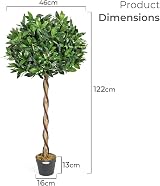Christow Large 4ft Bay Tree In Pot Twin Pack Indoor Outdoor Topiary view 8