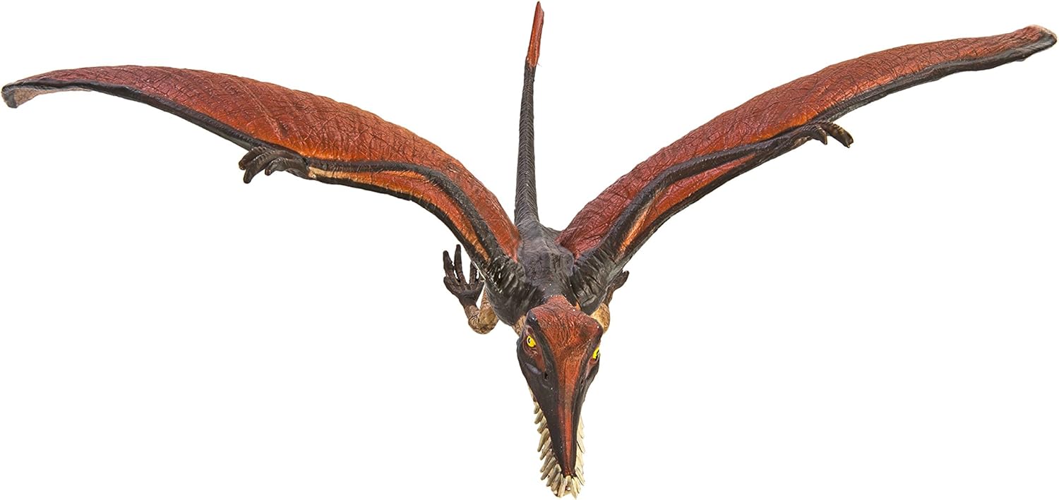 rhamphorhynchus toy