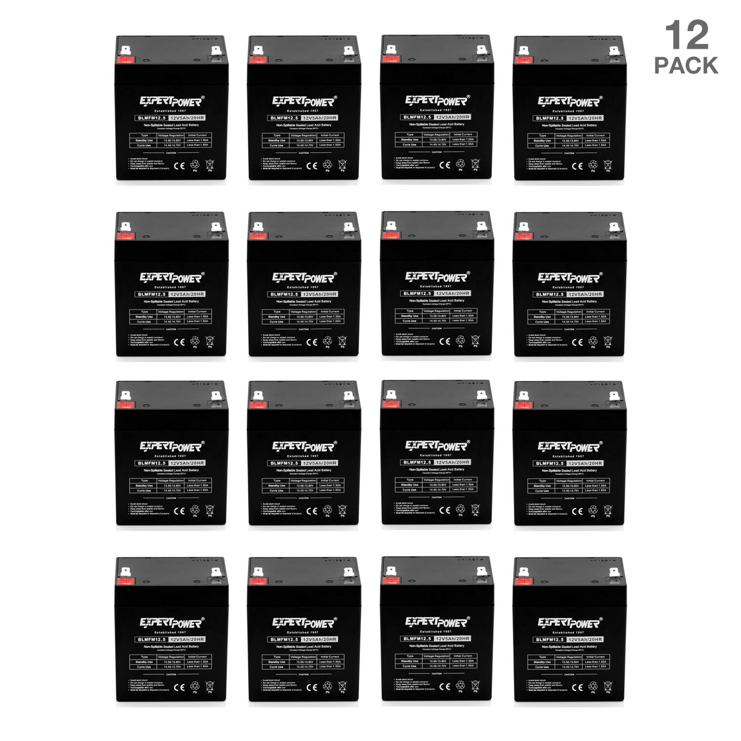 12 Pack Expertpower 12v 5ah Home Alarm Battery With F1 Terminals Exp1250 Buy Online In Moldova At Moldova Desertcart Com Productid 26914949