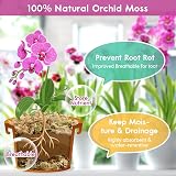 Riare Natural Sphagnum Moss 100g Long-Fibered Orchid Carnivorous Plants view 3