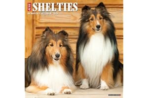 Just Shelties 2025 12" x 12" Wall Calendar