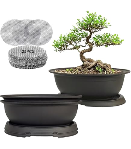Amazon.com: MUZHI 8PCS/Pack Retro Style Square Small Bonsai