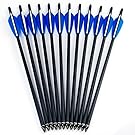 GPP Hunting Archery Carbon Arrow 20" Crossbow Bolts Arrow With 4" vanes and Replaced Arrowhead/Tip 12PC