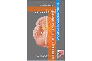 Anatomy of Head and Neck