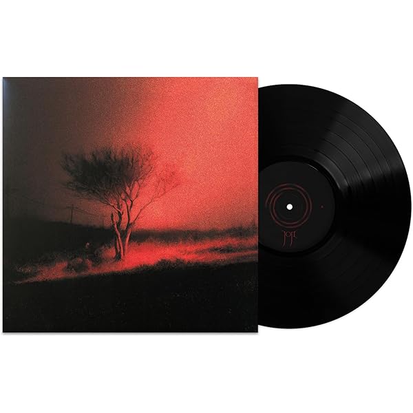 Amazon.com: Slow Dancing In The Dark - Exclusive Limited Edition