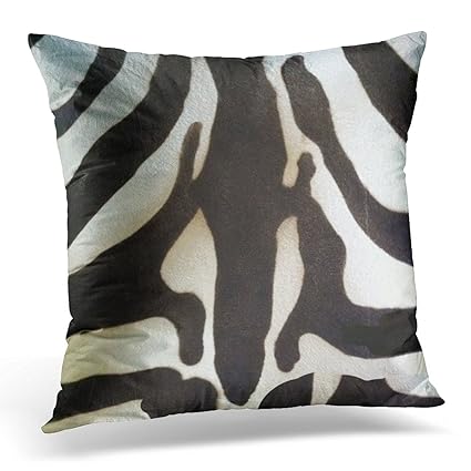 Amazon Com Varyhome Throw Pillow Cover African Zebra Animal Black