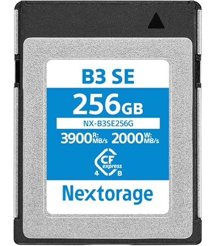 Amazon.com: Delkin Devices 160GB CFexpress Type B G4 Memory Card