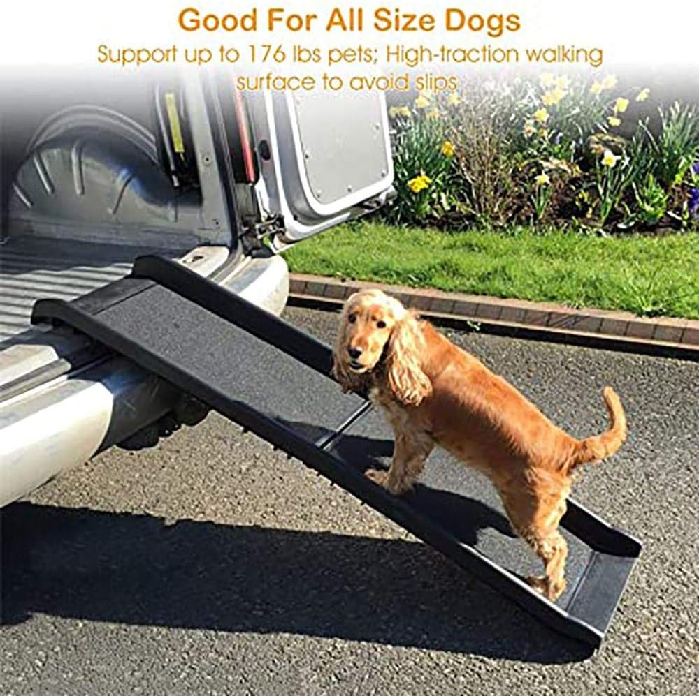 used dog ramp