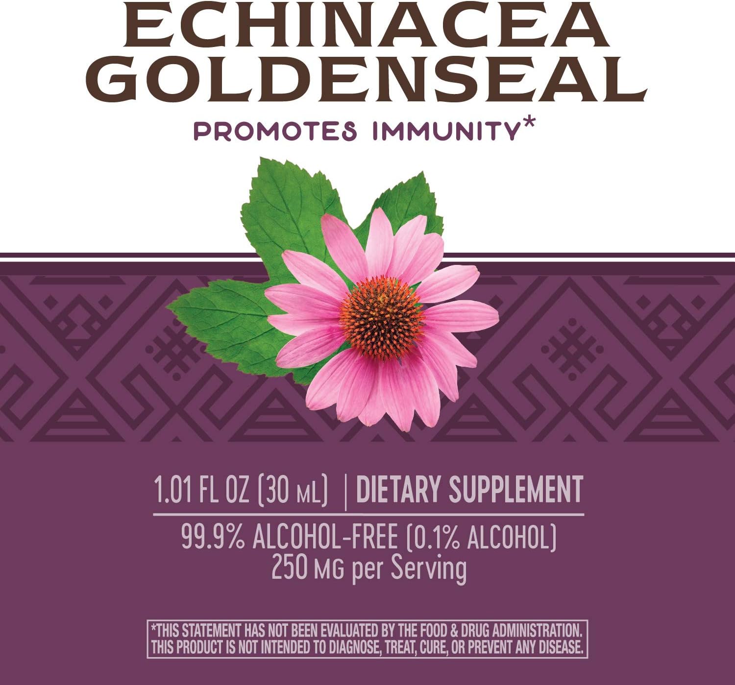 Nature's Way Premium Formula Echinacea-Goldenseal, 250 mg per serving, 99.9% Alcohol-Free, 1.01 Oz.: Health & Personal Care
