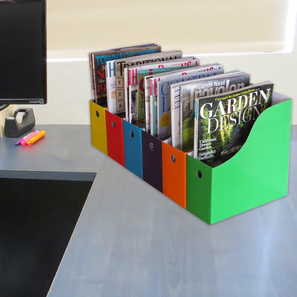 Evelots Magazine File Holder-Organizer-Full 4 Inch Wide-6 Colors-W/Labels-Set/6 : Office Products