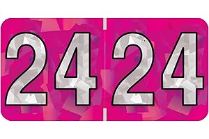 2024 Year Stickers, Doctor Stuff 2024 Chart Stickers, Holographic Fuchsia Colored, USA Made Year Labels for End Tab File Folders, 500 Labels per Roll, 1 Roll, 3/4" x 1-1/2"