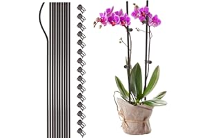 TITA-DONG 10PCS Garden Metal Plant Stakes with 15PCS Vine Fixing Clip Set, 15.75inch Tall Single Stem Flower Stakes, Bendable Plastic Coated Garden Plant Stakes Holder for Amaryllis Orchid Lily Rose(Brown 40cm)