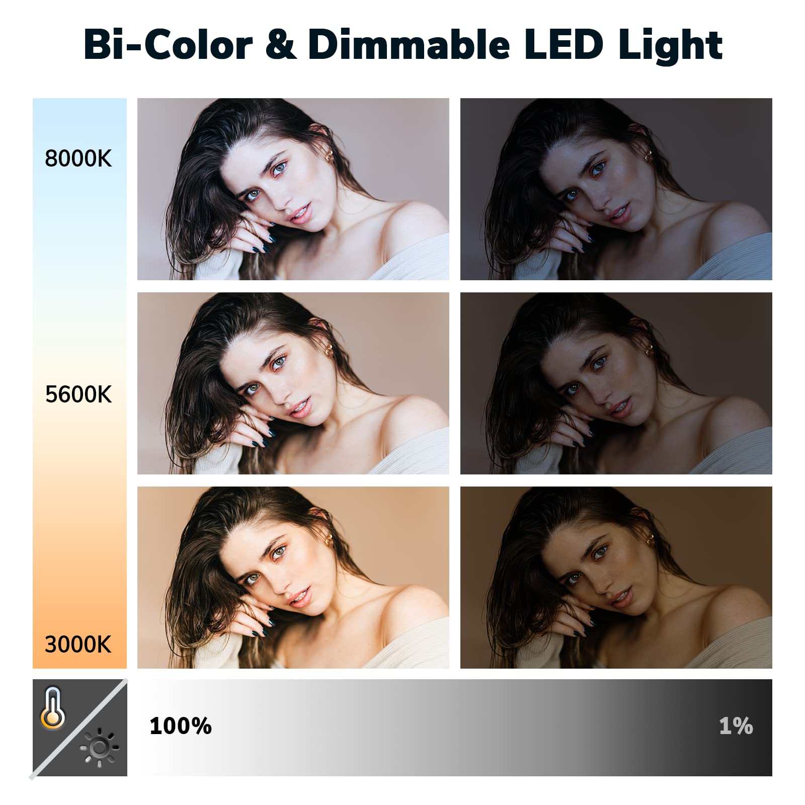 D50 Photography Lighting with Barn Door, 2-Pack 15.4