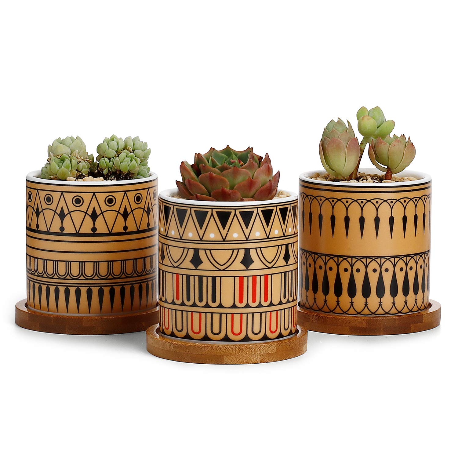 Greenaholics Succulent Plant Pots - 3 Inch Cylinder Greek Sytle Ceramic Planter for Cactus, Succulent Planting, with Drainage Hole, Bamboo Trays, Set of 3