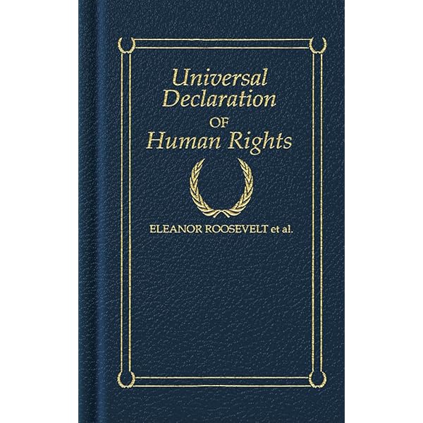 洋書 Rethinking Human Rights 81LR92LDdUL._UF350,350_QL50_.jpg
