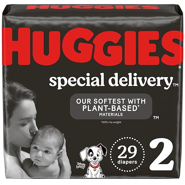 HUGGIES SPECIAL DELIVERY HYPOALLERGENIC BABY DIAPERS SIZE 2...