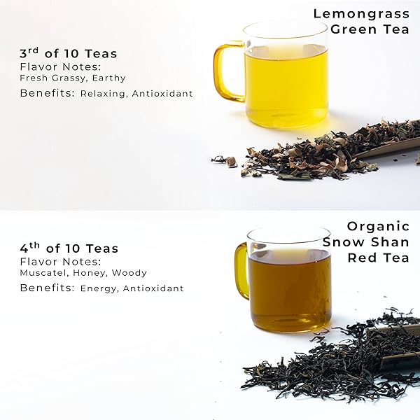 SACHS TEA 1773 FOUNDER’S ASSORTMENT – ORGANIC ASSORTED LOOSE LEAF TEA – 30 SACHETS – GREEN, BLACK, RED, WHITE, YELLOW, HERBAL TEAS – FRESH FLORAL, ROASTED FRUIT, MALTY, WOODY, HERBACEOUS NOTES – SUGAR-FREE, NON-GMO, KETO-FRIENDLY