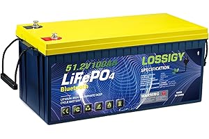 LOSSIGY 48V 100Ah LiFePO4 Lithium Battery, Perfect for 48 Volt Golf Cart, Solar System, RV, Off Grid, 5120Wh with 200A Bluetooth BMS, Peak Current 1000A, 5000+ Cycles