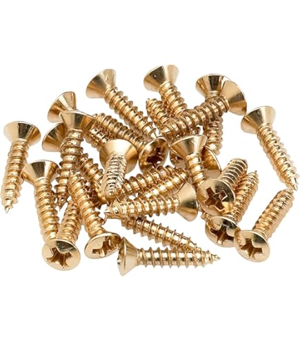 Amazon.com: Fender 4 Screw Neck Plate Gold : Musical Instruments