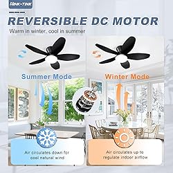 Nink Tink Small Ceiling Fans with Lights - 35 Inch