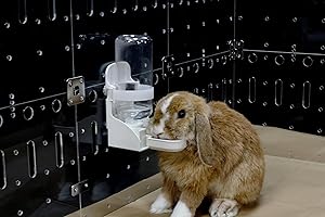 GuineaLoft™ Auto Drinker - ⁦Water Bottle for Rabbits, Ferrets, Quails & Small Animals. No Need to Push Any Tabs. Automatically Refill to 3/4 Full. No Spillage.