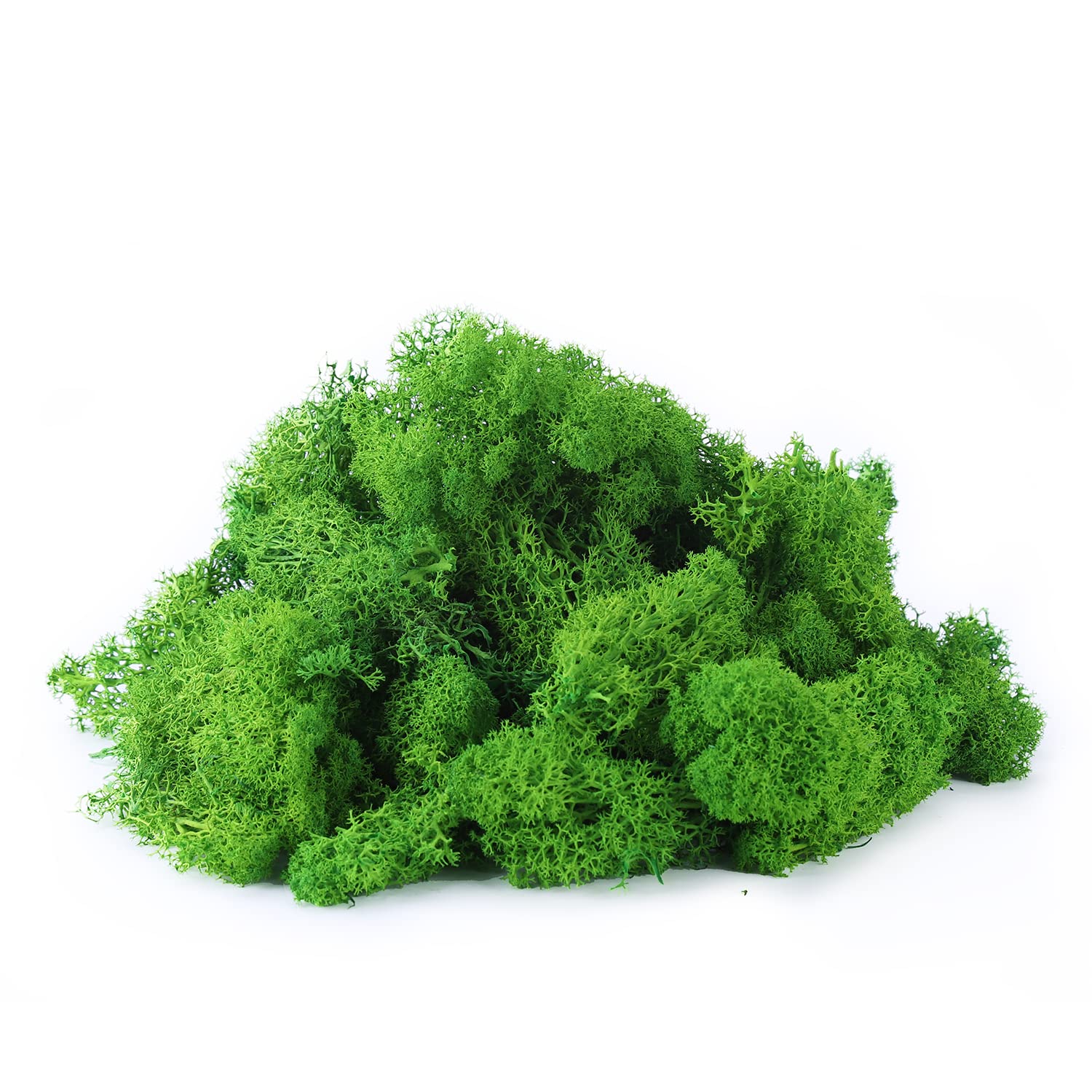 IHKFILAN Reindeer Moss 100G for Crafts & Decoration, Real Preserved Moss for Easter, Green, 3.5OZ