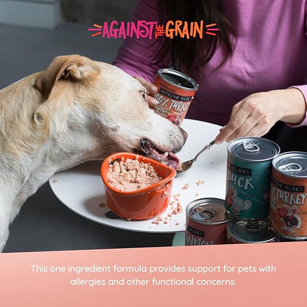 EVANGER’S AGAINST THE GRAIN NOTHING ELSE! 100% SALMON DOG FOOD – 12 COUNT, 11 OZ EACH – SINGLE-INGREDIENT MEATBALL TEXTURE IN NATURAL BROTH – WET DOG FOOD – GRAIN & GLUTEN FREE
