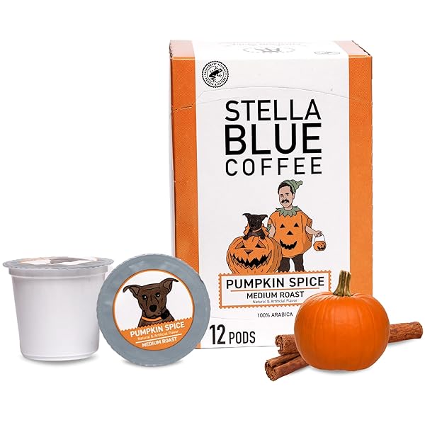 PUMPKIN SPICE PODS (12 PACK)