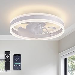 LUDOMIDE Ceiling Fans with Lights and Remote Flush