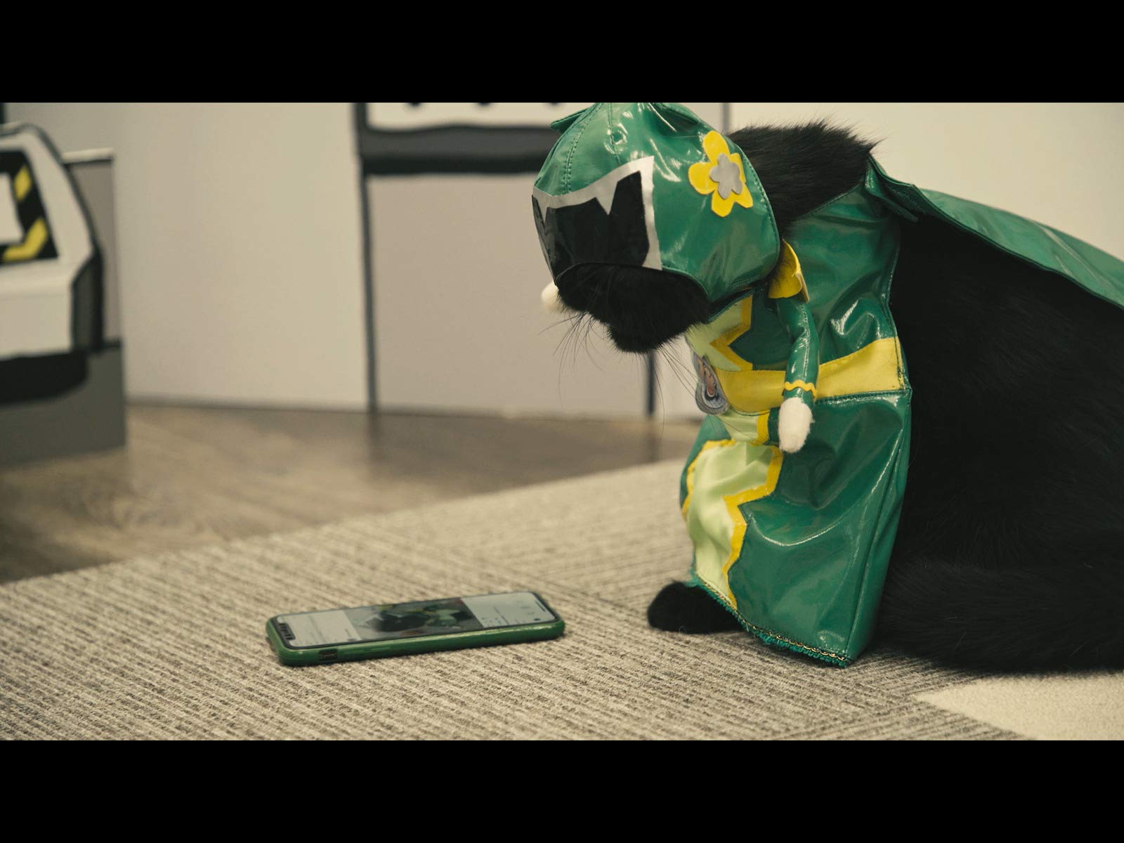 Amazon Co Jp ネコ戦隊 びたたまを観る Prime Video